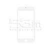 Vetro Bianco + Frame Ultra Resistente iPhone 8 Plus No Logo