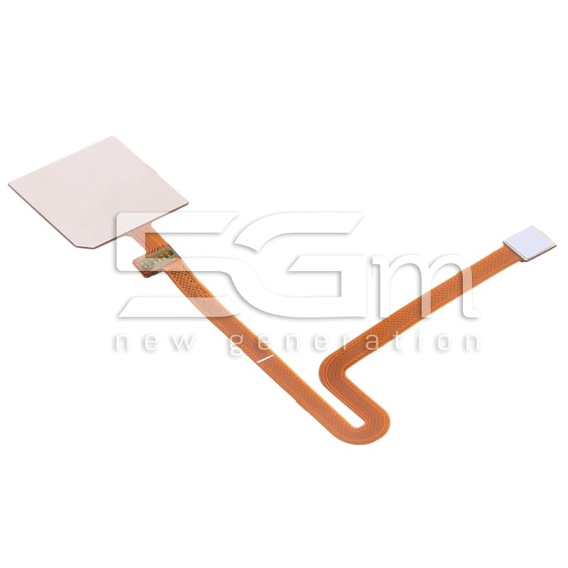 Fingerprint Flat Cable Blu LG K50