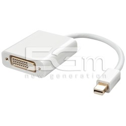 Mini DP to DVI Adapter Converter White