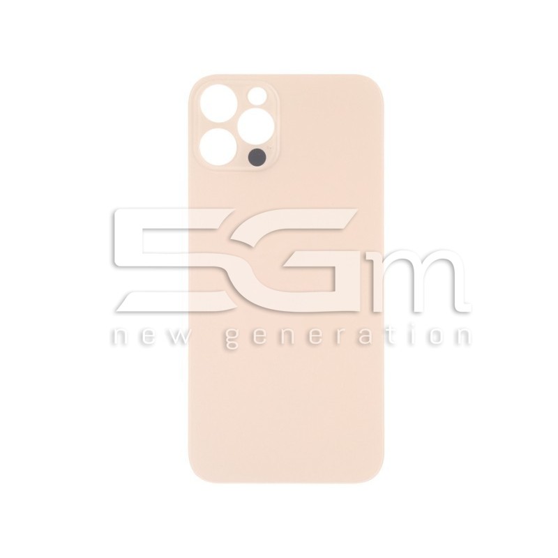 Rear Cover Gold iPhone 13 Pro Big Hole (No Logo)