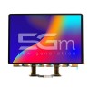 Display MacBook Pro Retina 13 (A2289)